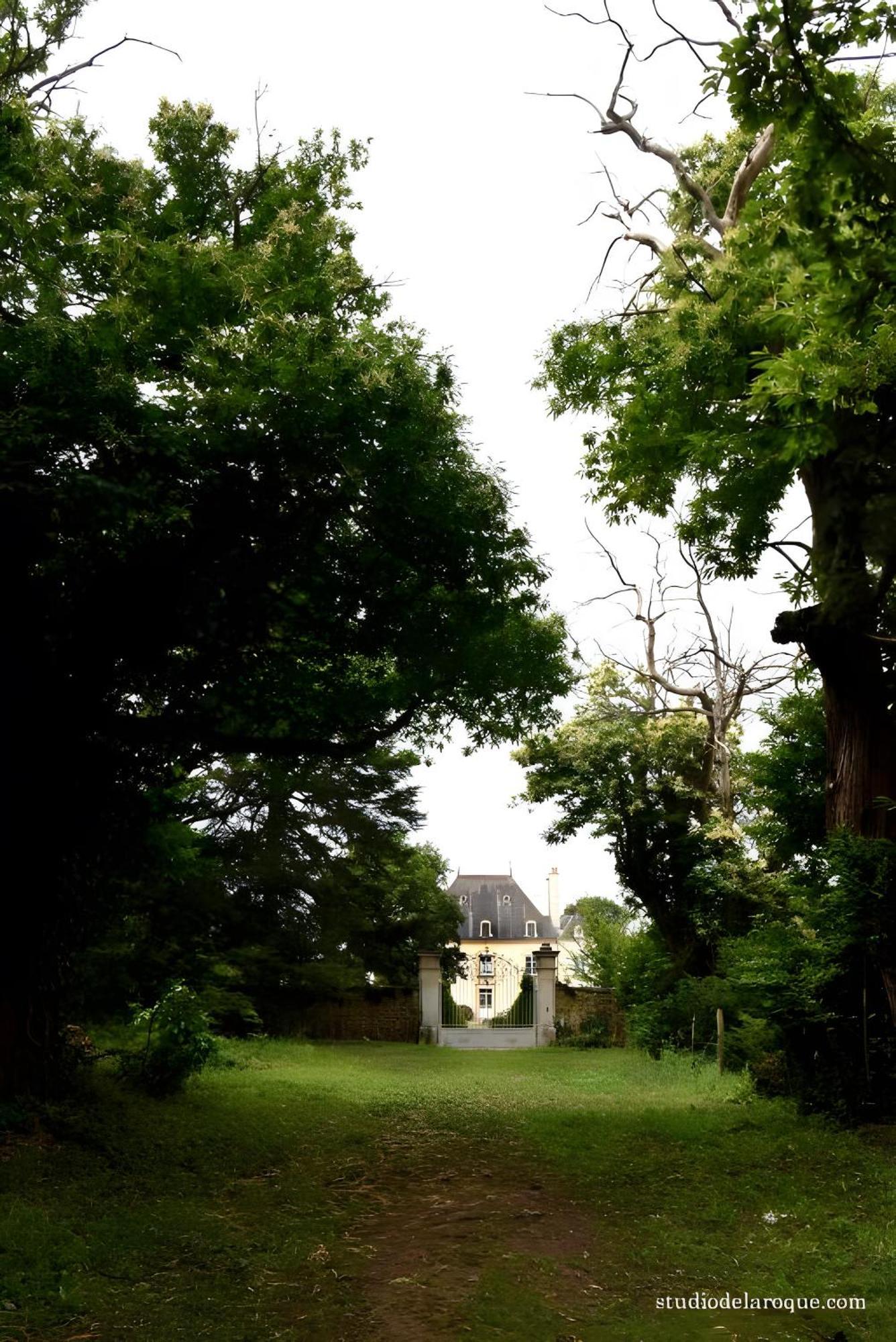 Domaine De La Briouse Panzió Sanxay Kültér fotó
