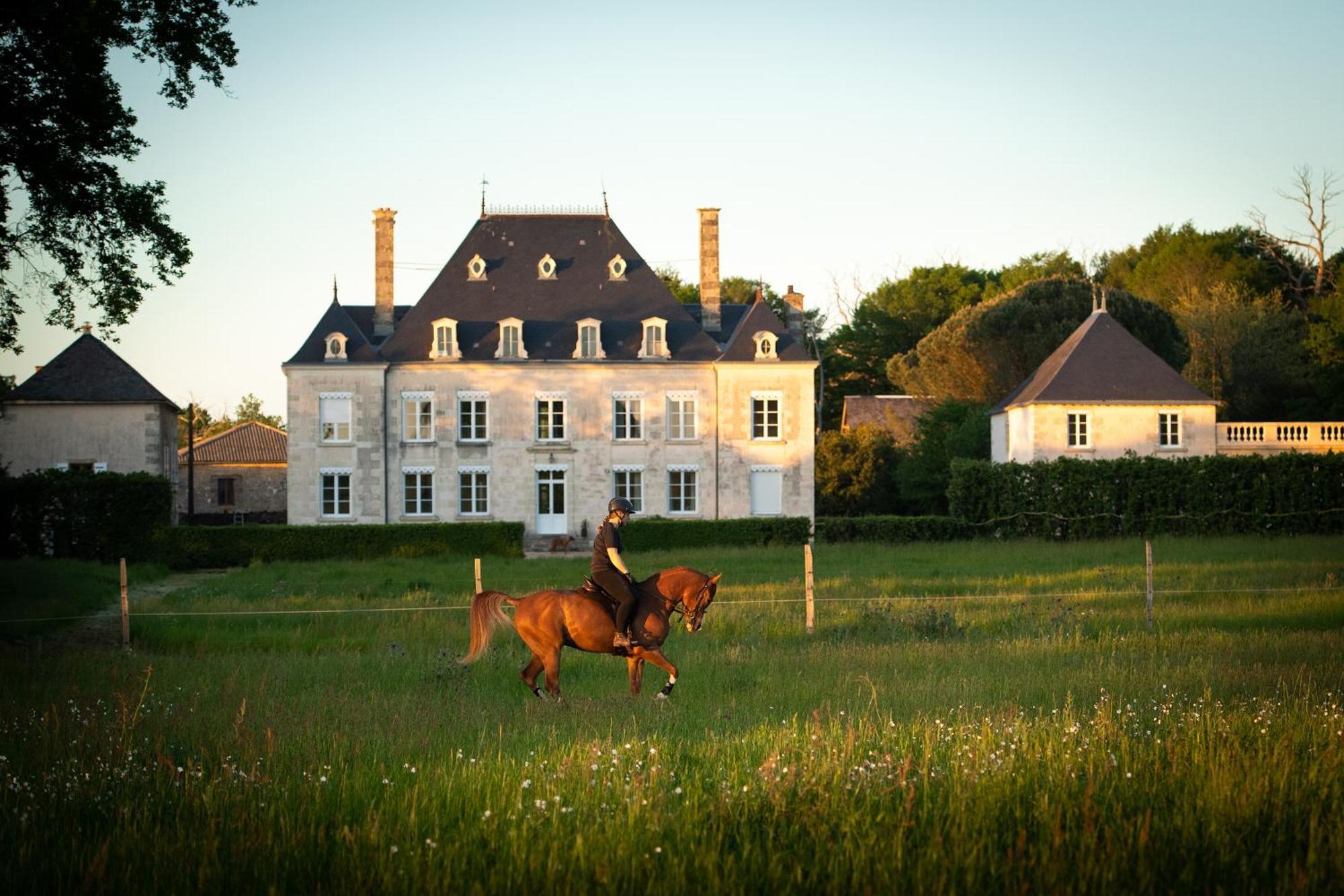 Domaine De La Briouse Panzió Sanxay Kültér fotó