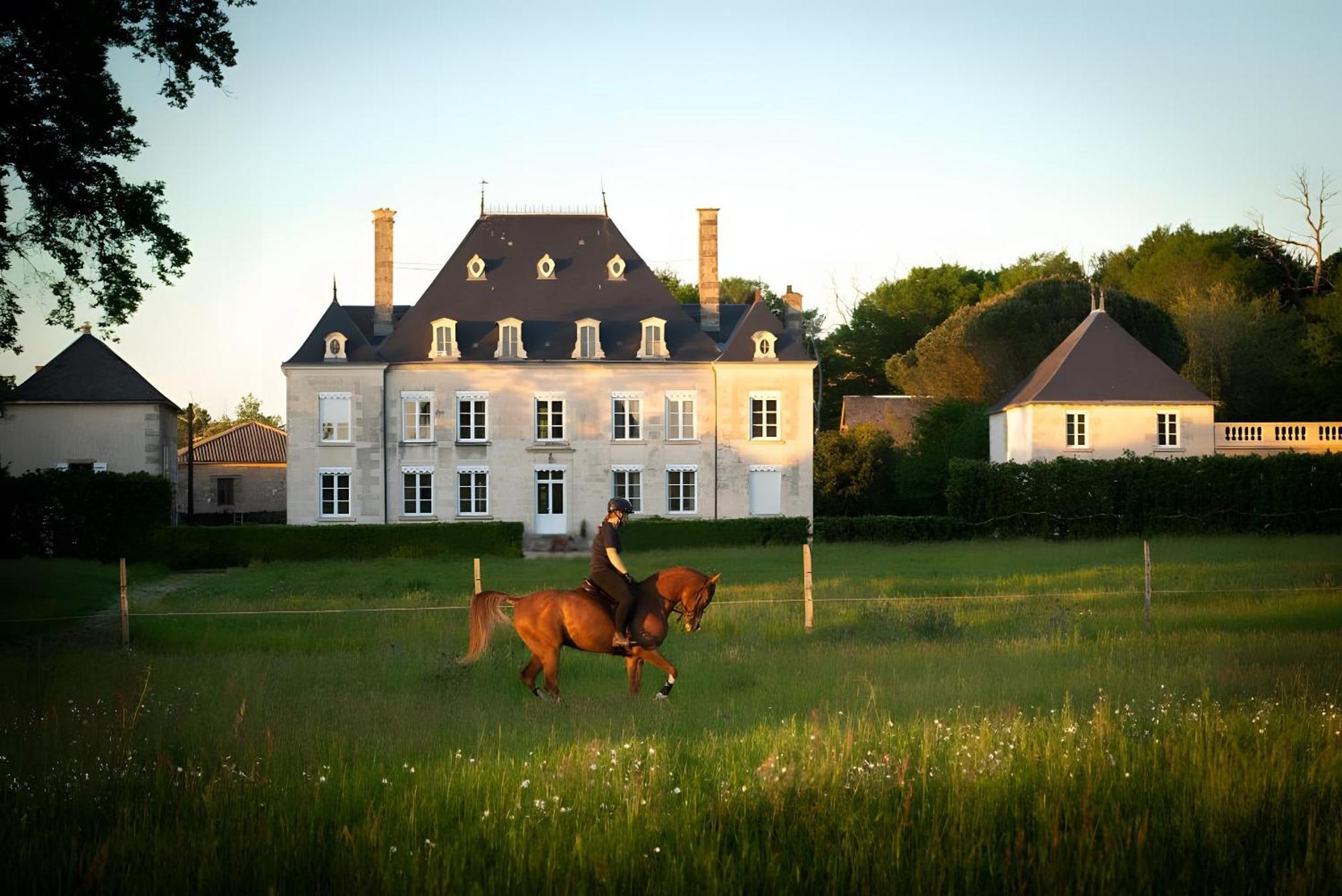 Domaine De La Briouse Panzió Sanxay Kültér fotó